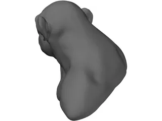 Chimp Head 3D Model preview