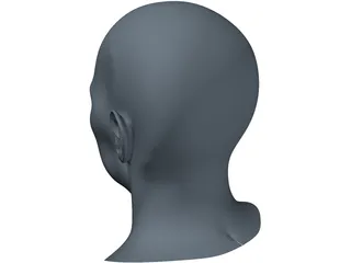 Human Face 3D Model preview