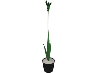 Potted Plant 3D Model preview