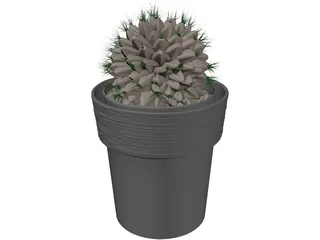 Potted Cactus Plant 3D Model preview
