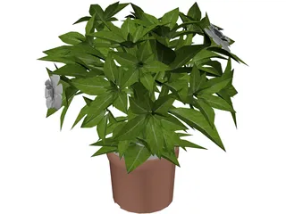 Potted Plant 3D Model preview