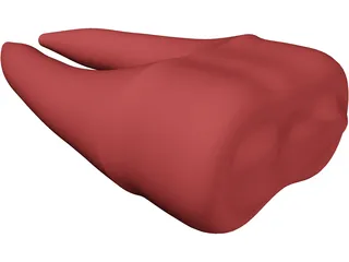 Molar Teeth 3D Model preview