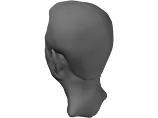Old Chinaman Head 3D Model preview