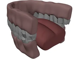 Gums Teeth Tongue 3D Model preview
