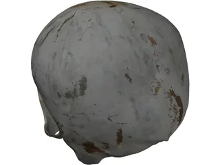 Human Skull No Jaw 3D Model preview