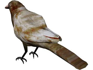 Bangor Crow 3D Model preview