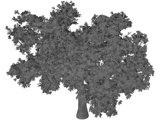 Quercus 3D Model preview