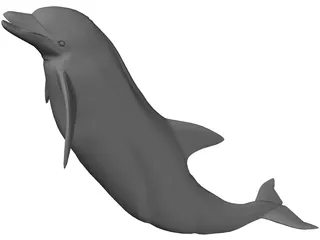 Dolphin 3D Model preview