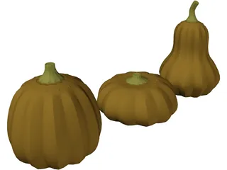 Squash 3D Model preview