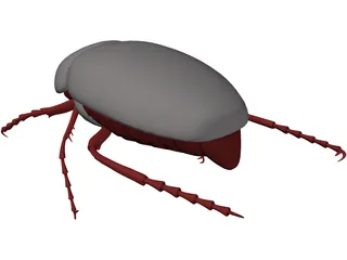 Bug (Meikever In Dutch) 3D Model preview