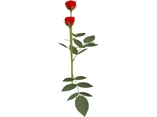 Red Rose 3D Model preview