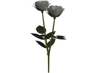 White Rose 3D Model preview