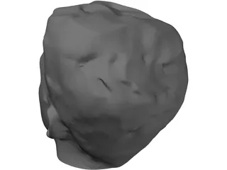Head Male 3D Model preview
