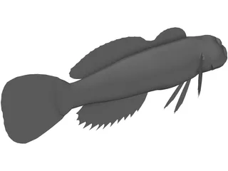 Kazika 3D Model preview
