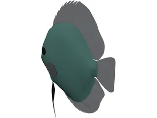 Discus 3D Model preview