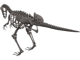 Dinosaur Skeleton 3D Model preview