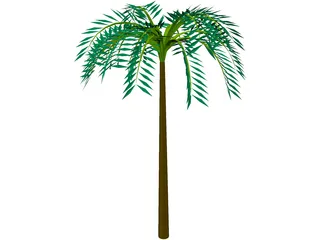 Tree Palm Tropical 3D Model preview