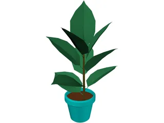 India-Rubber Plant 3D Model preview