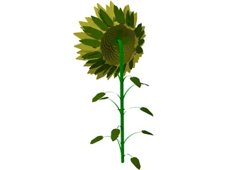 Sunflower 3D Model preview