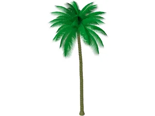 Palm Tree 3D Model preview