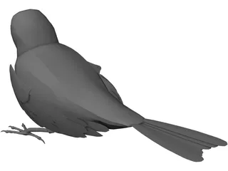 Black Bird 3D Model preview
