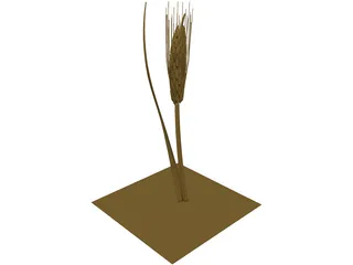 Dried Barley 3D Model preview