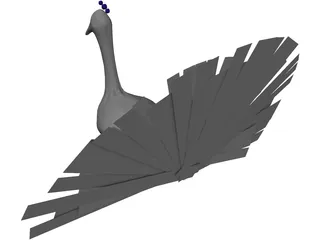 Peacock 3D Model preview