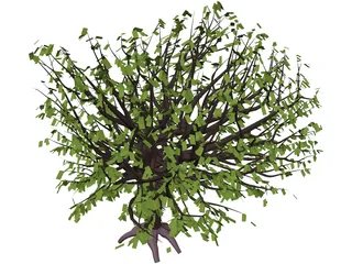 Tree 3D Model preview