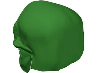 Skull 3D Model preview