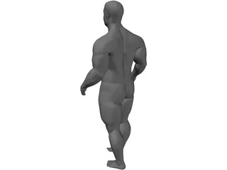 Body Builder 3D Model preview