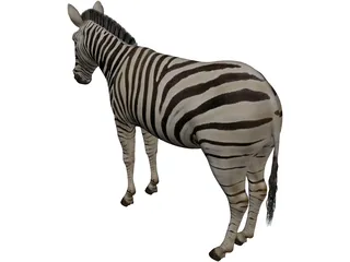 Zebra 3D Model preview
