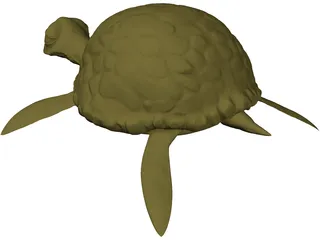 Cartoon Turtle 3D Model preview