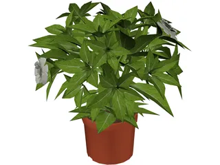 Plant 3D Model preview