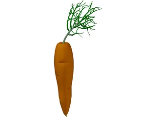 Carrot 3D Model preview