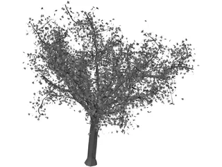 Tree 3D Model preview