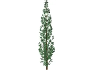 Pine Tree 3D Model preview