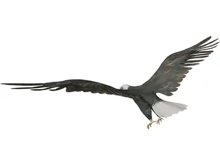Eagle 3D Model preview