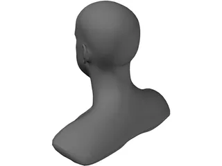 Head 3D Model preview