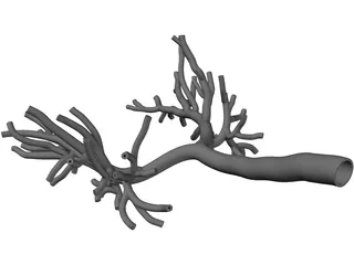 Bronchial Tree Human 3D Model preview