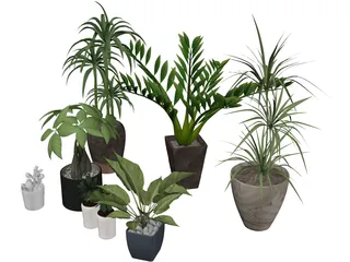 House Plant Collection 3D Model preview