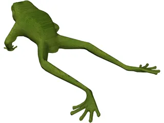 Frog 3D Model preview