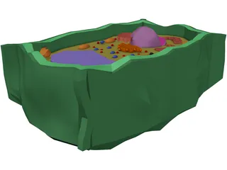 Plant Cell 3D Model preview