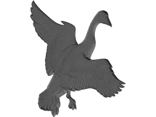 Canadian Goose 3D Model preview