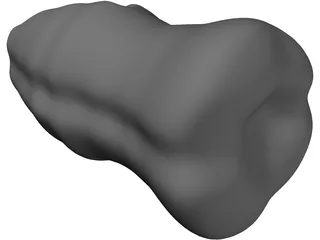 Molar Teeth 3D Model preview