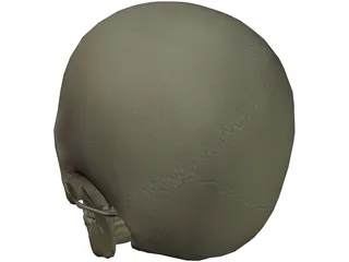 Skull 3D Model preview