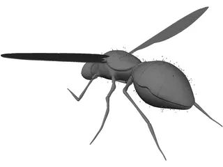Fly 3D Model preview