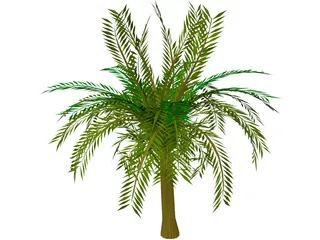 Palm Tree 3D Model preview