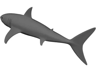 Shark White 3D Model preview