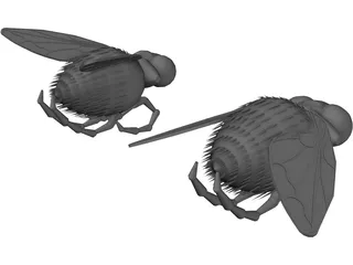 Fly 3D Model preview