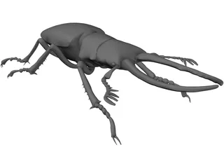 Stag Beetle 3D Model preview